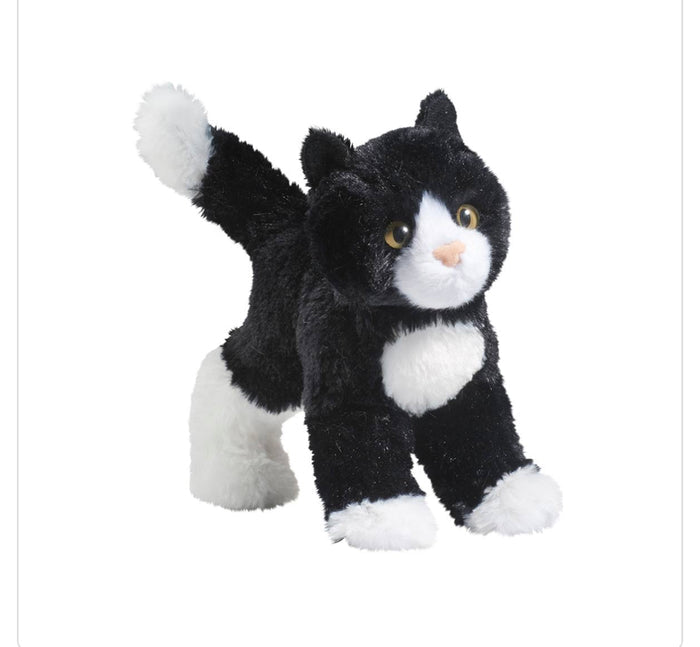 Douglas - Snippy Black/White Cat