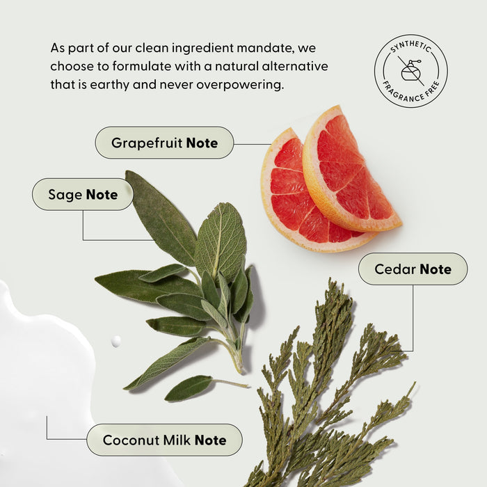 Arey’s Masque Deep Conditioner features key fragrance notes of grapefruit slices, sage leaves, cedar sprigs, and a hint of coconut milk. This silicone-free formula uses natural alternatives and contains no synthetic fragrances, providing a deeply hydrating treatment that supports the repair of damaged hair.
