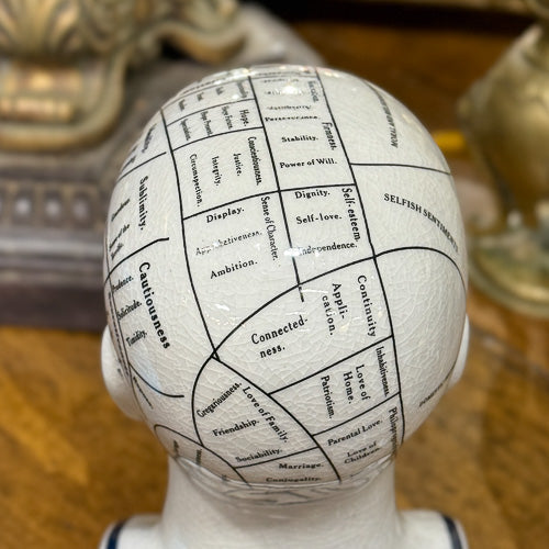 Phrenology Head