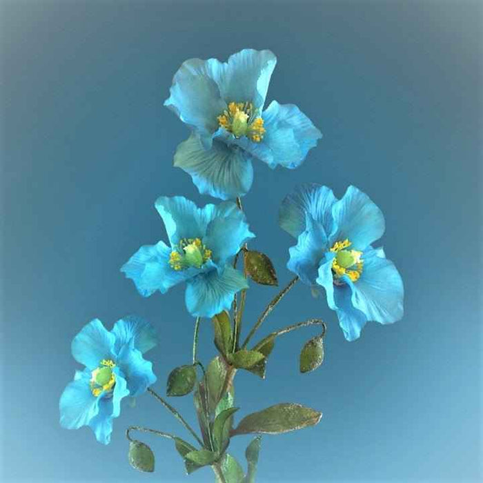 Aqua Flowers - Premium Fragrance Oil