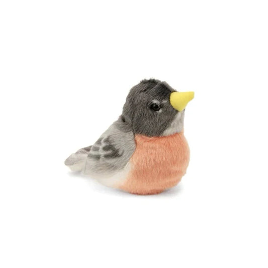 Audubon American Robin