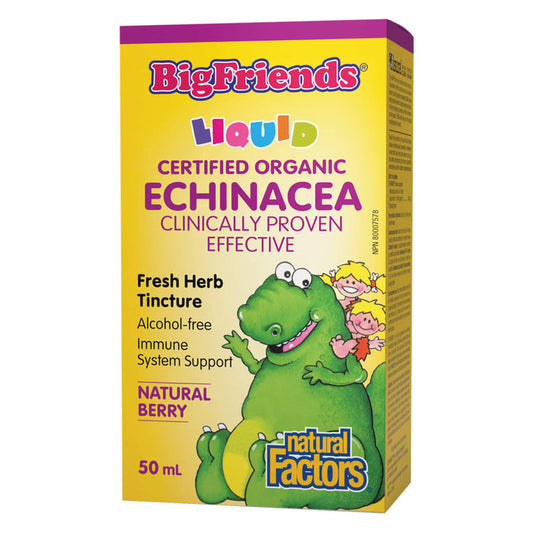 Box of Natural Factors Big Friends Echinacea No Alcohol Tincture 50ml