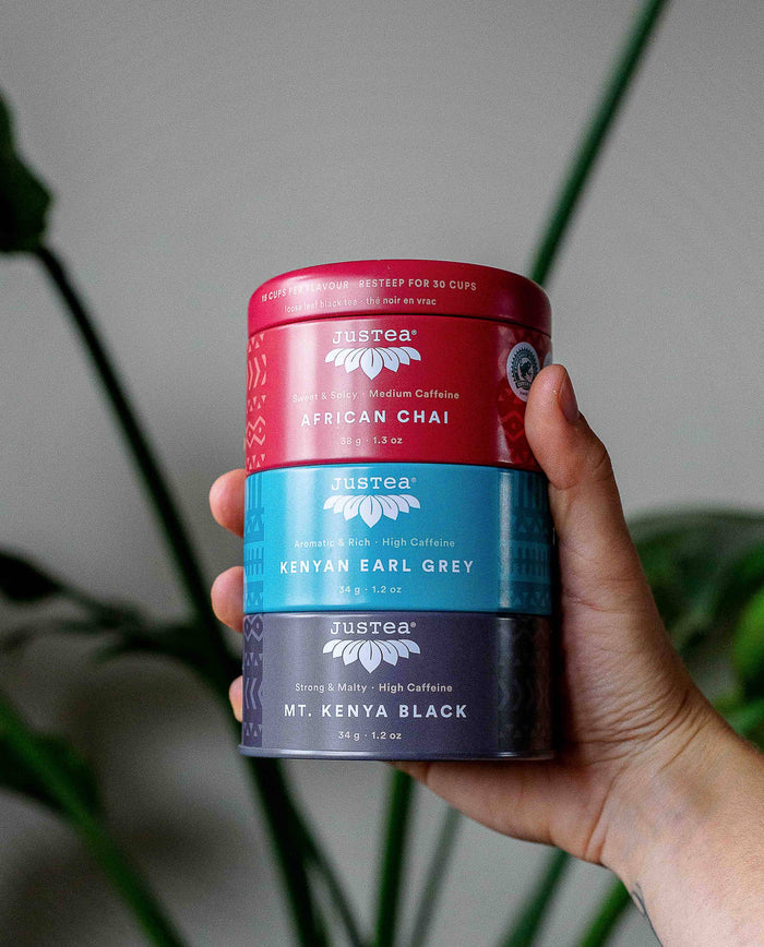 Black Tea Trio Tin & Spoon Organic Fair Trade Tea Gift