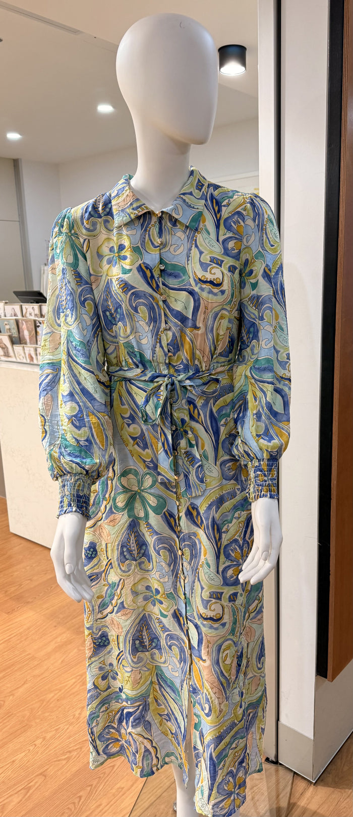 Blue Floral Paisley Dress