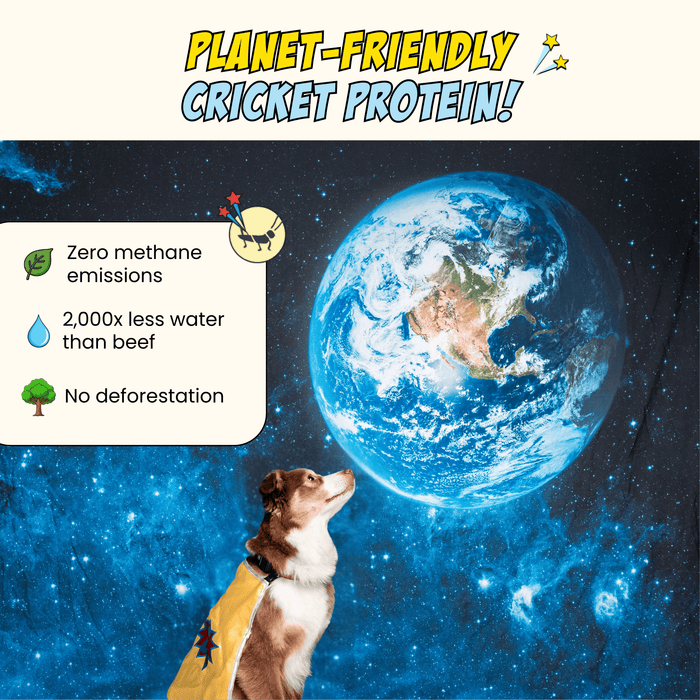 Chippin Chippin Protein Starter Pack - 3 Sustainable Dog Treats