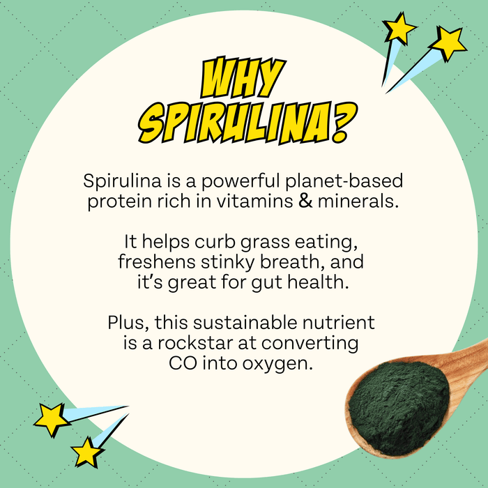 Chippin Chippin Protein Starter Pack - 3 Sustainable Dog Treats