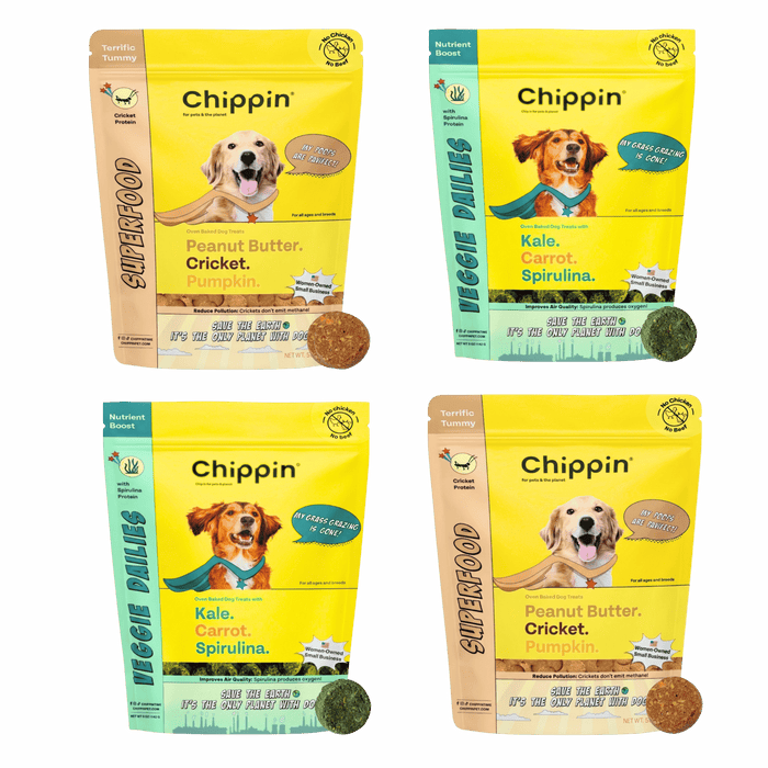 Chippin Crunchy Dog Biscuit Bundle - 4-Pack