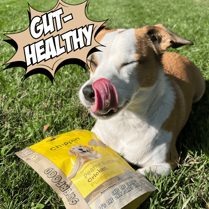 Chippin Crunchy Dog Biscuit Bundle - 4-Pack