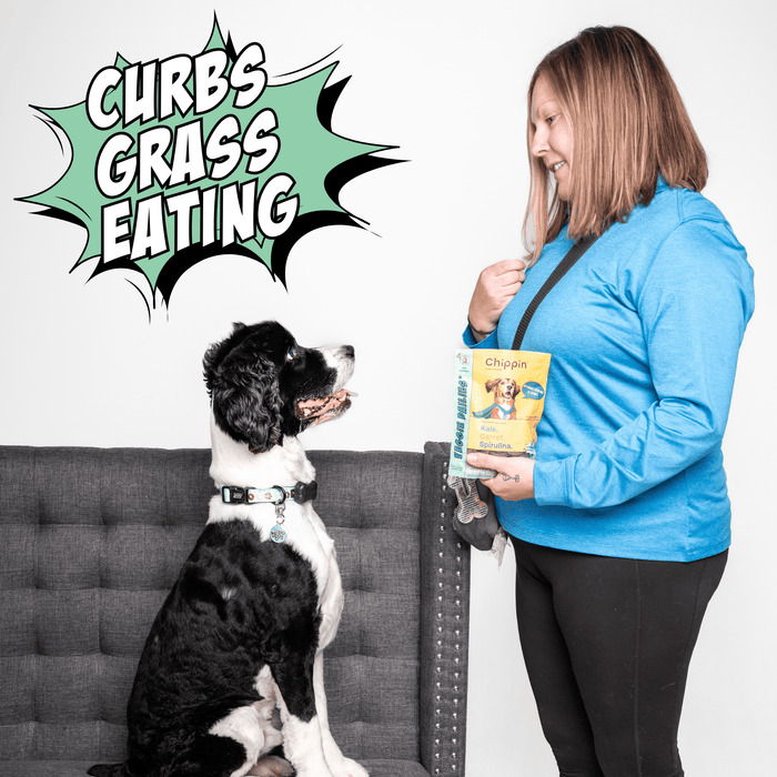 Chippin Crunchy Dog Biscuit Bundle - 4-Pack