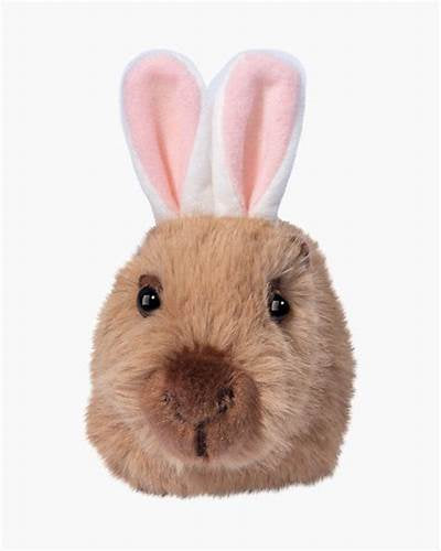 Douglas - Capybara w/ Bunny Ears