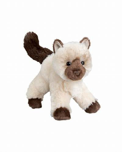 Douglas - Hilda Himalayan Cat