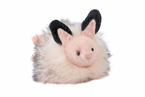 Douglas - Skimmer Sea Bunny Slug