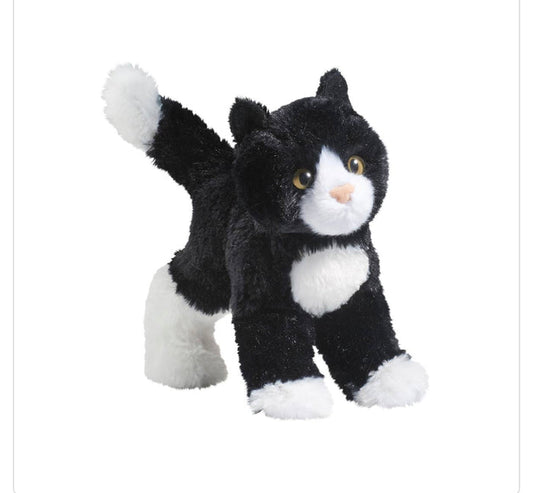 Douglas - Snippy Black/White Cat