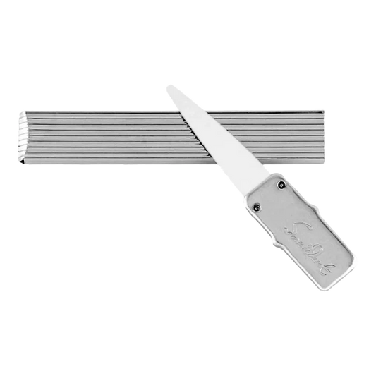 DOVO Silver Steel tannpirker