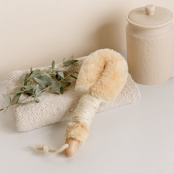 Dry Body Brush