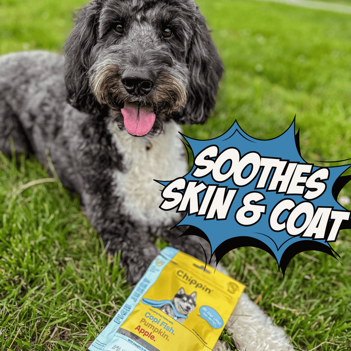 Chippin Fish & Veggie Variety Pack - Dog Treats Bundle