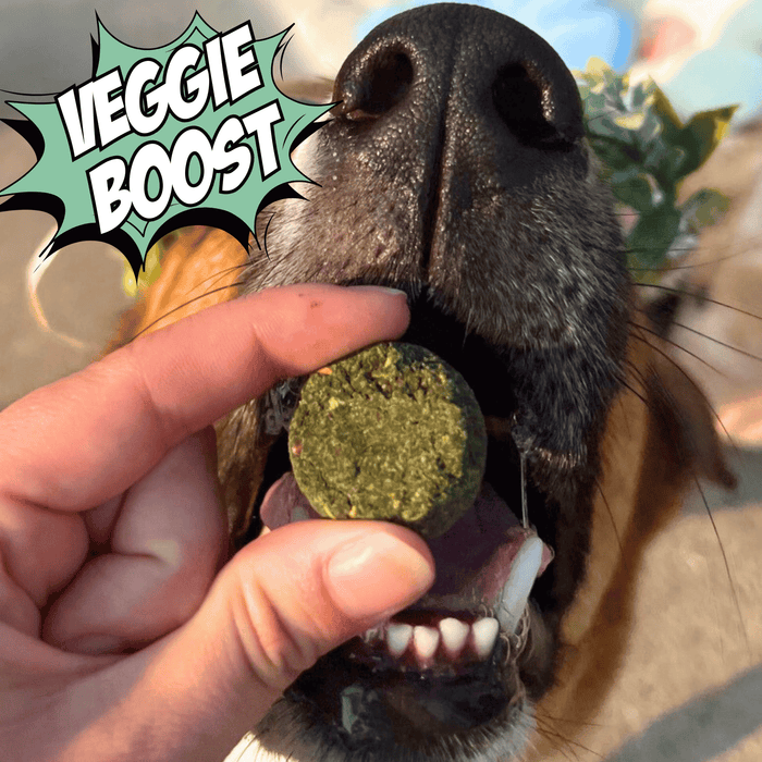 Chippin Fish & Veggie Variety Pack - Dog Treats Bundle