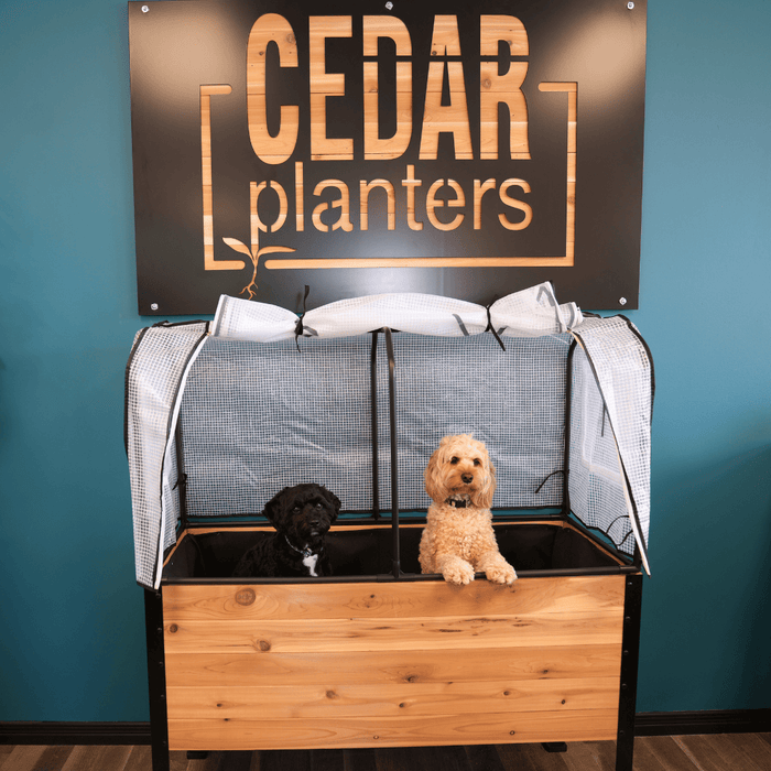 Cedar Planters Greenhouse Cover