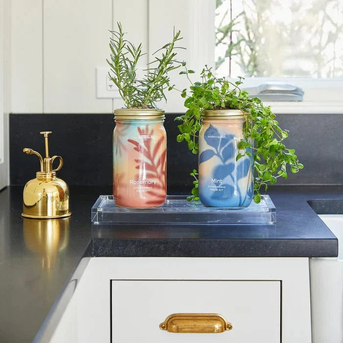 Herb Jar and Hydroponic Grow Kit