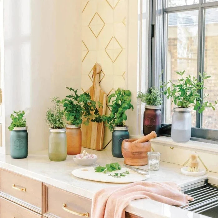 Herb Jar and Hydroponic Grow Kit