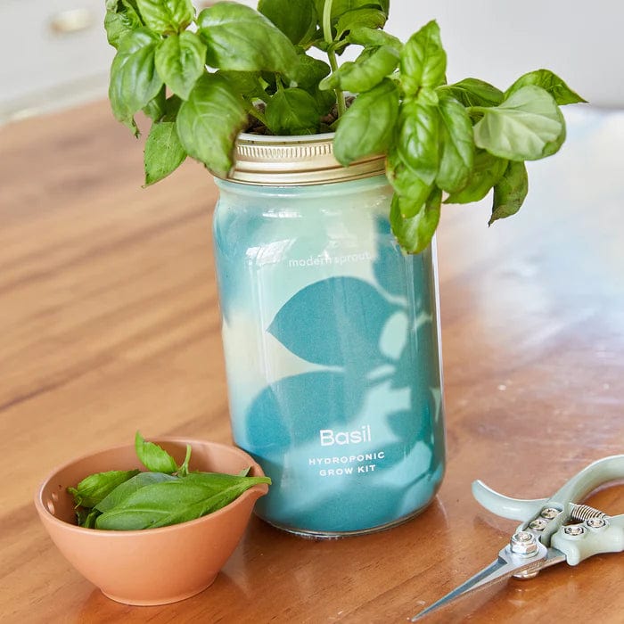 Herb Jar and Hydroponic Grow Kit