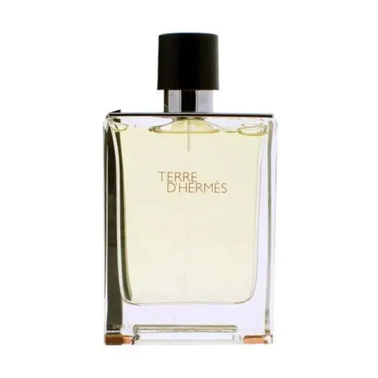 hermes terre d hermes for men edt 100ml