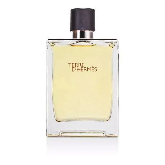 hermes terre d hermes for men edt 200ml