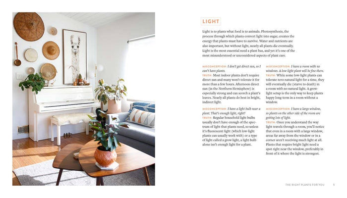 Houseplants for All: Danae Horst