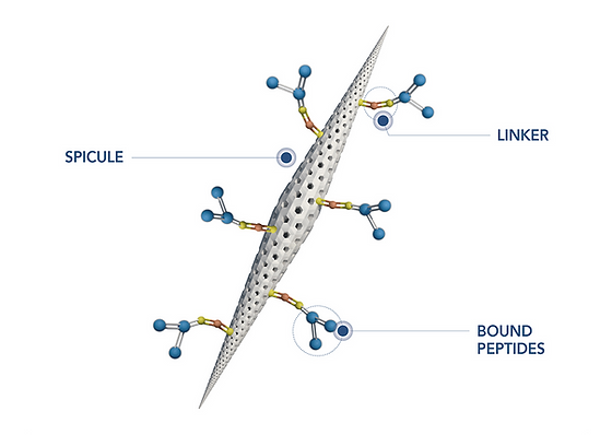 Exquisite Laser Clinic  Treatment face Idenel Glassifier Spicule Treatment (Inclinic)