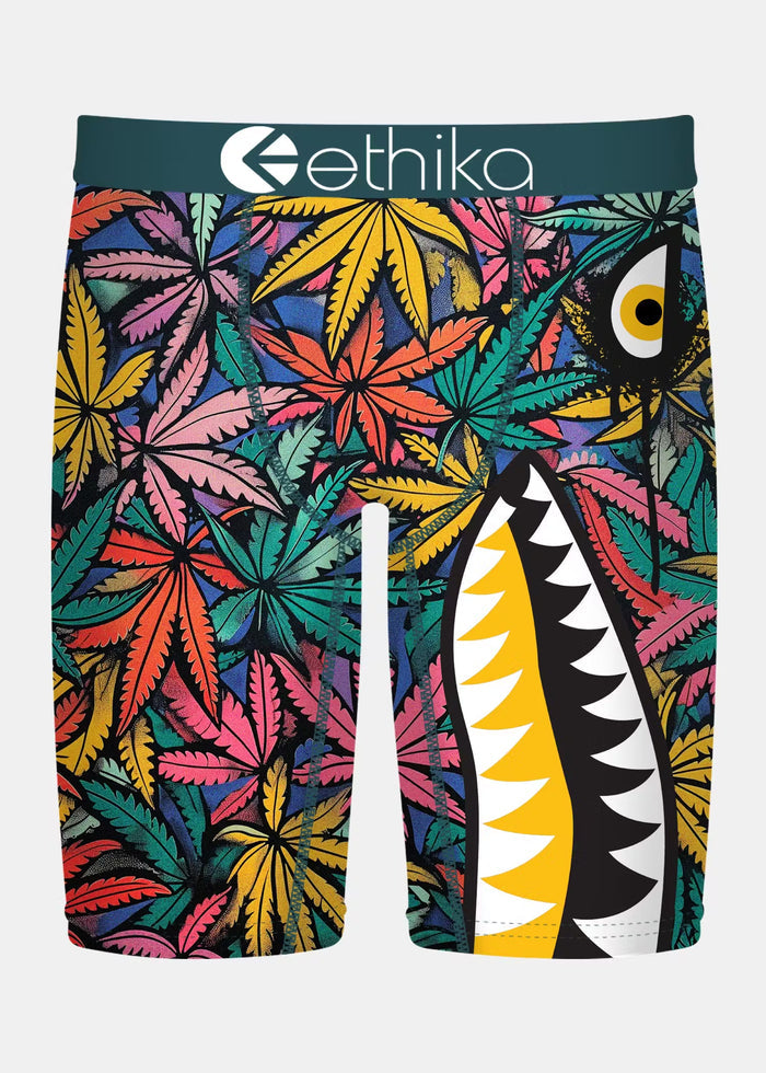 Men ETHIKA Bomber Weedland Boxers
