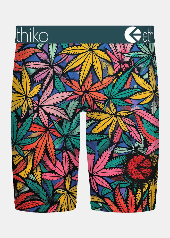 Men ETHIKA Bomber Weedland Boxers