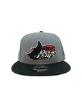 Men NEW ERA Tampa Bay Rays 2 Tone 9Fifty Snapback
