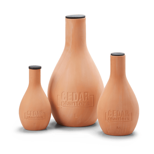 Cedar Planters Self-Watering Clay Olla Pot