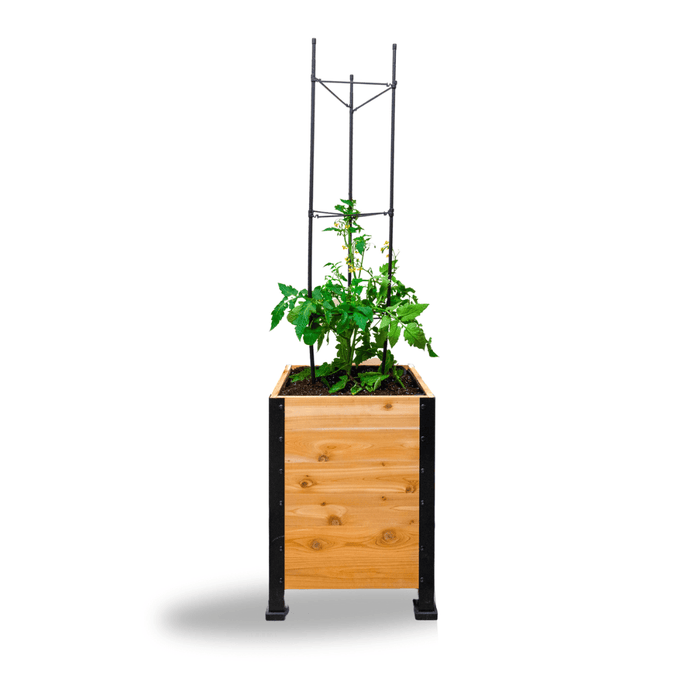 Cedar Planters Vegetable Cage