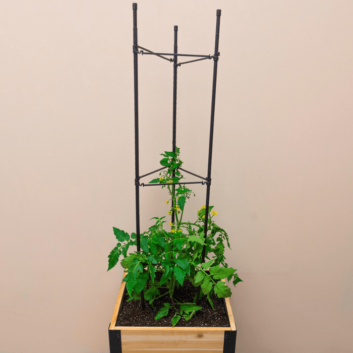 Vegetable Cage