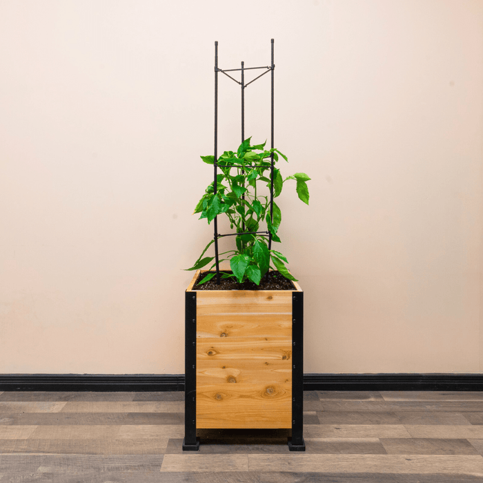Vegetable Cage